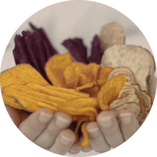 PEF treated Potato and vegetable chips circle